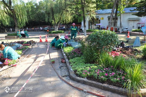以賽促練強技能 匠心鑄就城市美——資陽市園林綠化管理處成功舉辦第十四屆“十萬職工大練兵、大比賽、技藝大比武”活動