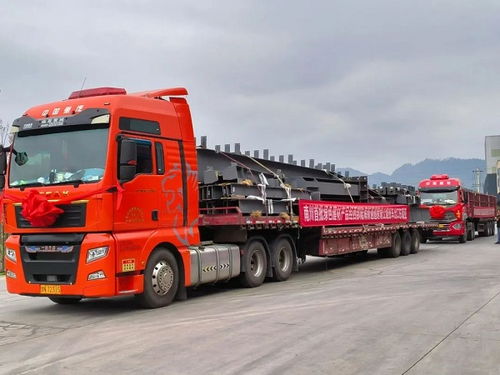 重慶物流集團跨境公路班車 南川大宗綠色建材出海運輸新紐帶